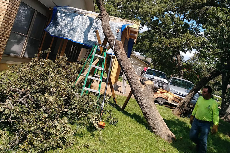 emergency_tree_removal