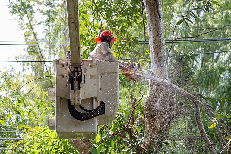 power_lines_cleaning