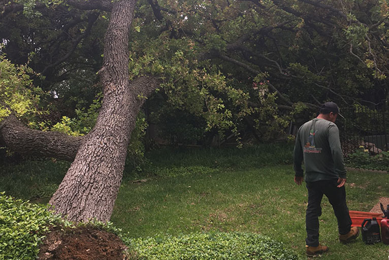 storm_damage_repair