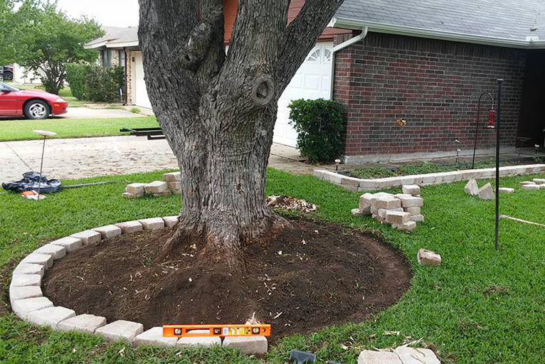 tree_planting
